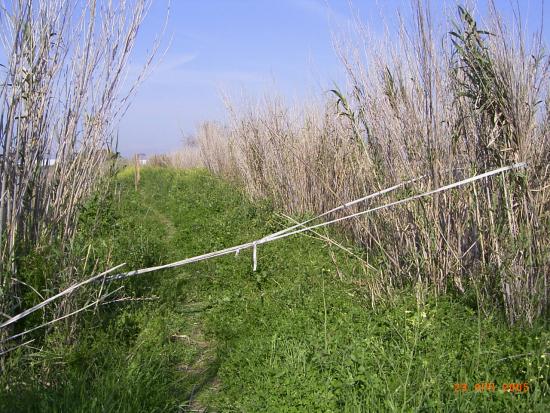 blocco sentiero e recinzione