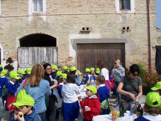 Tutti a merenda rigorosamente biologica: pane e olio!!