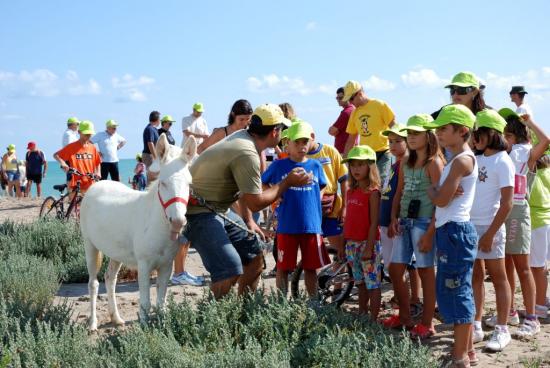 In_Spiaggia05