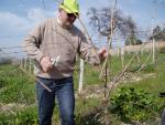 Tradizioni contadine - Potatura della vite