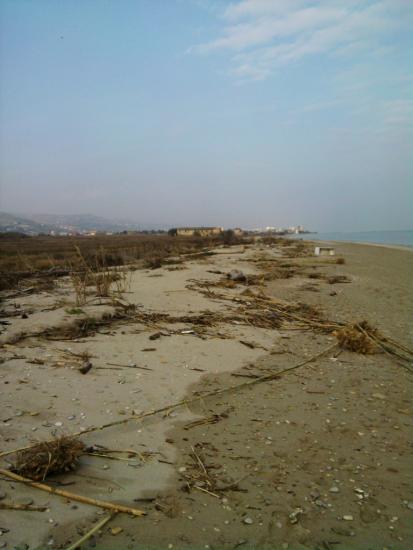 La costa vista dal Tronto