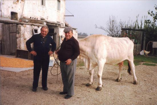 Emilio Ferri e Bruno Calvaresi