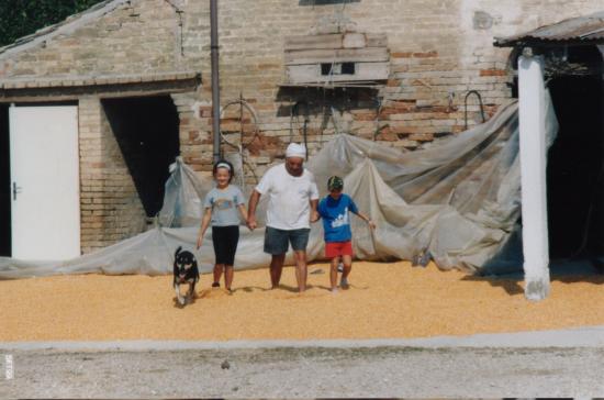 Pitù, Laura, Emilio, Luigi sul granturco