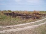 Incendi di natura dolosa